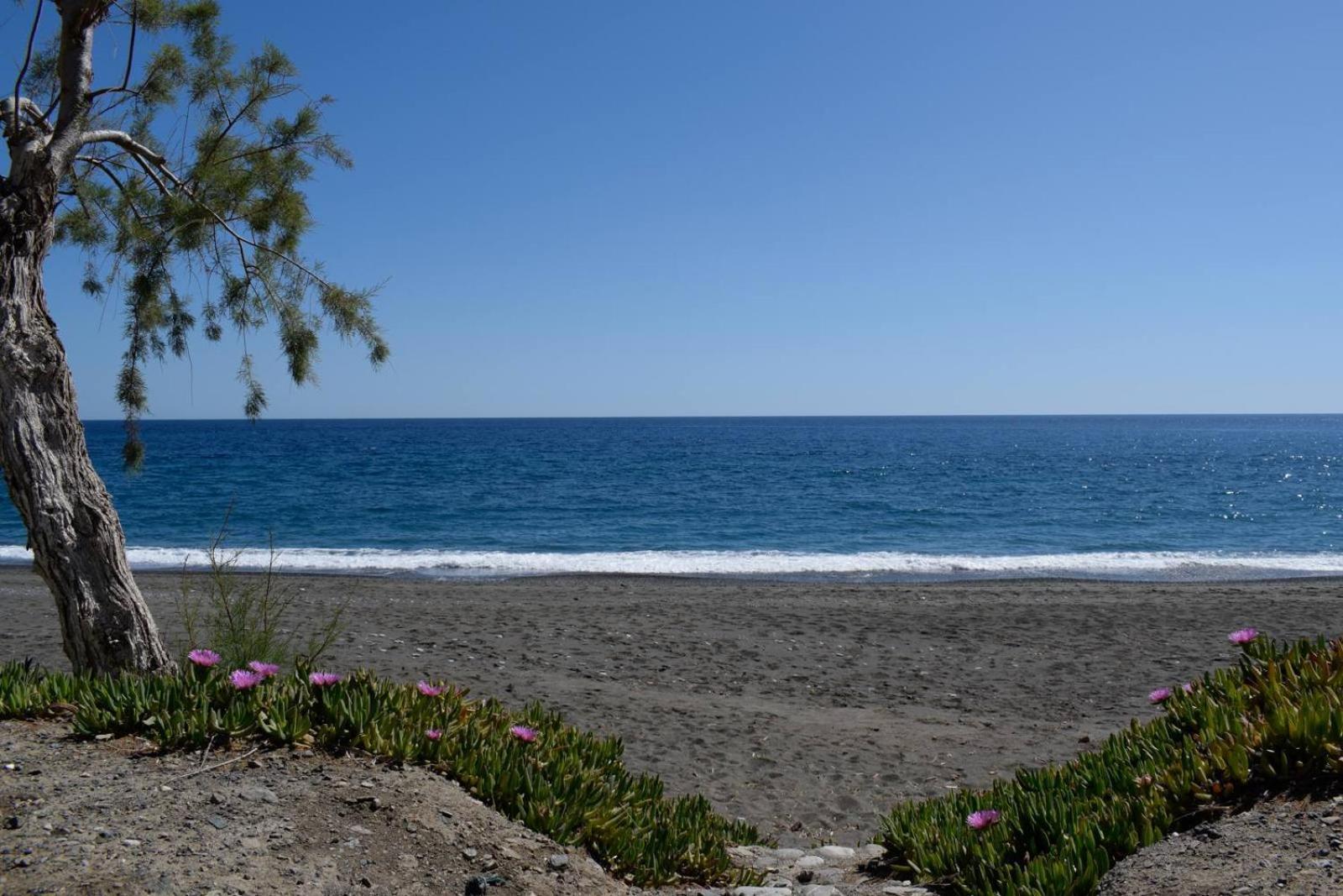 Soso'S Apartments -Vacations Next To The Beach Psari Forada Extérieur photo
